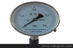 电接点压力表 YTF-100/标准压力表图片,电接点压力表 YTF-100/标准压力表图片大全,西安云仪仪器仪表-